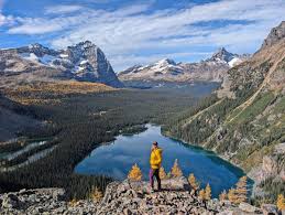 Local travel in Canada